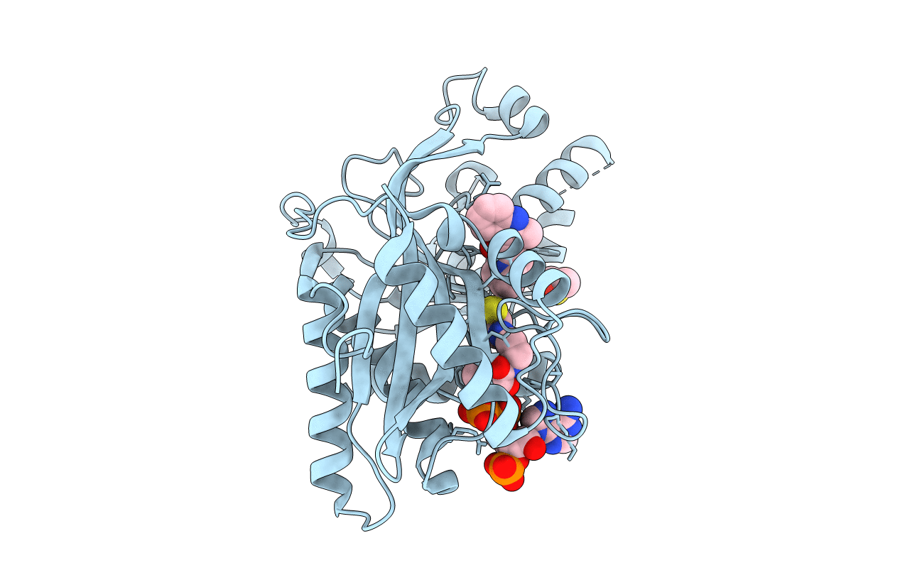 6V8K image