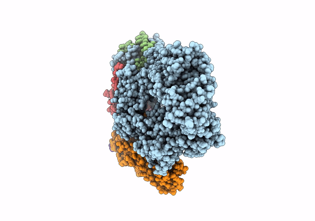 6V8P image