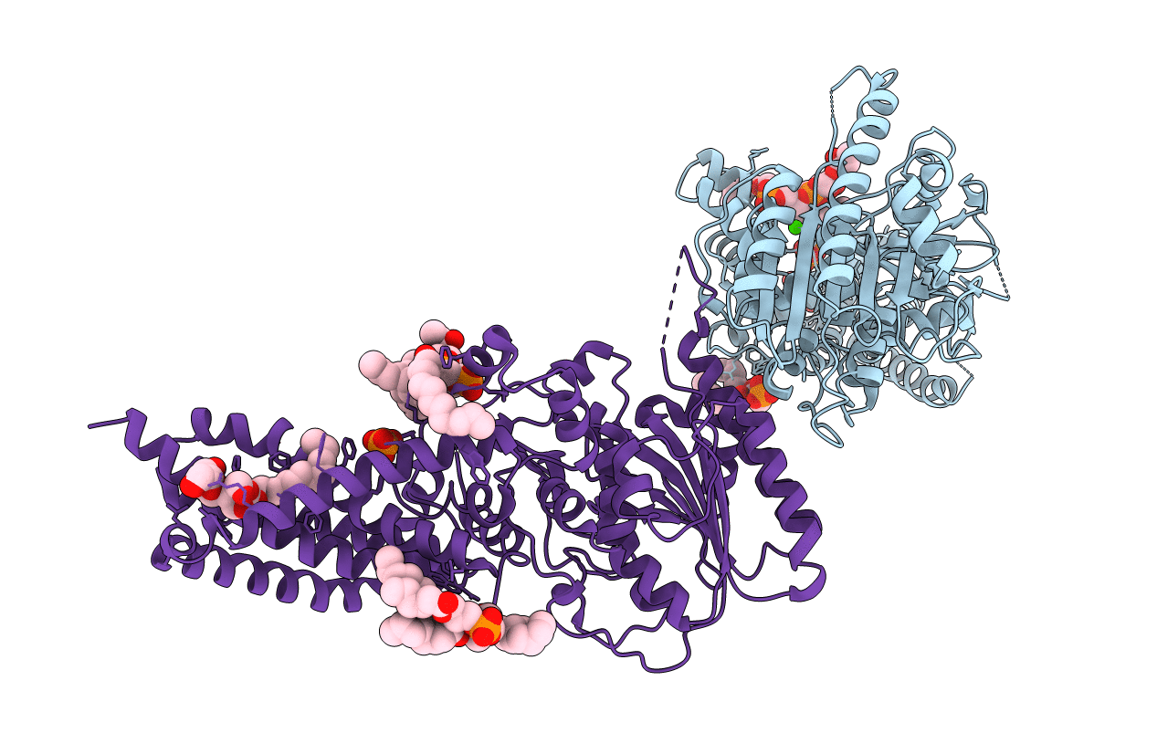 6V8Q image