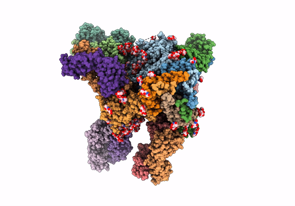 6V8Z image