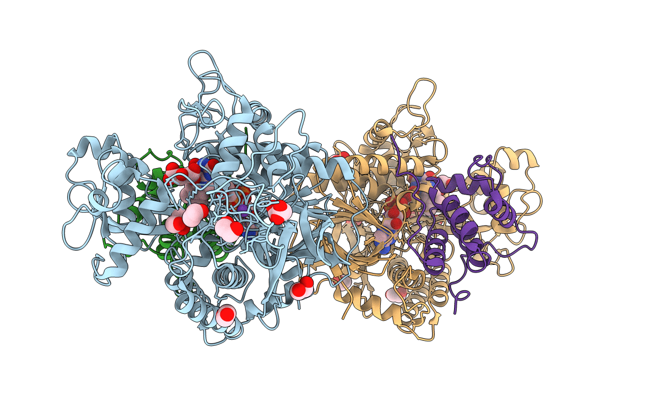 6VAX image