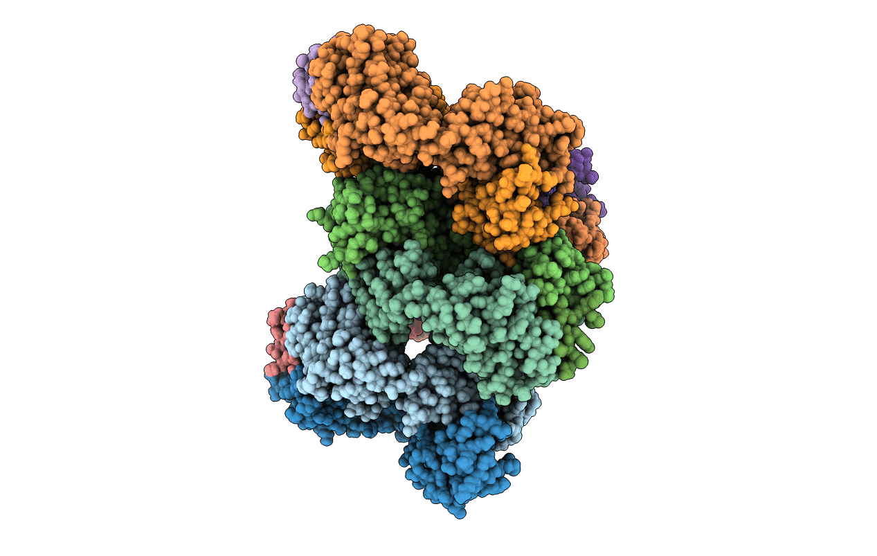 6VBP image