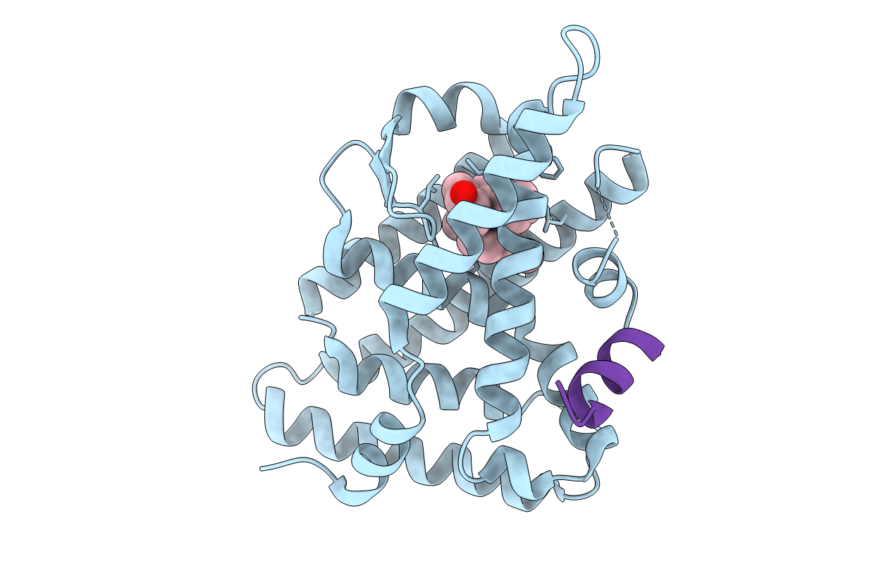 6VC2 image