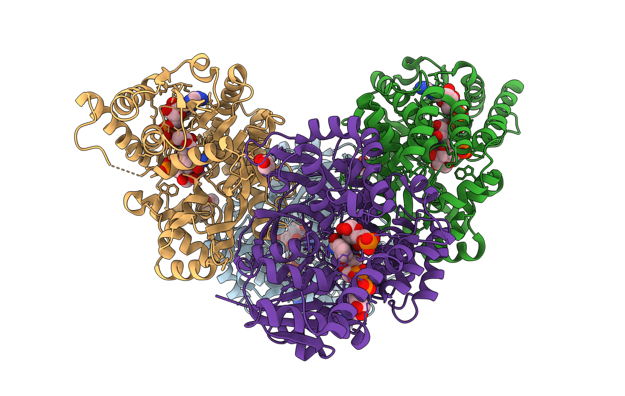 6VC6 image