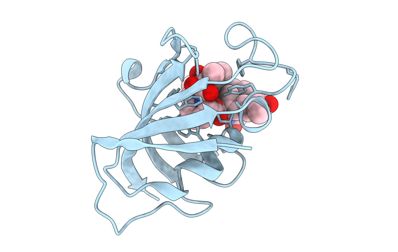 6VCT image