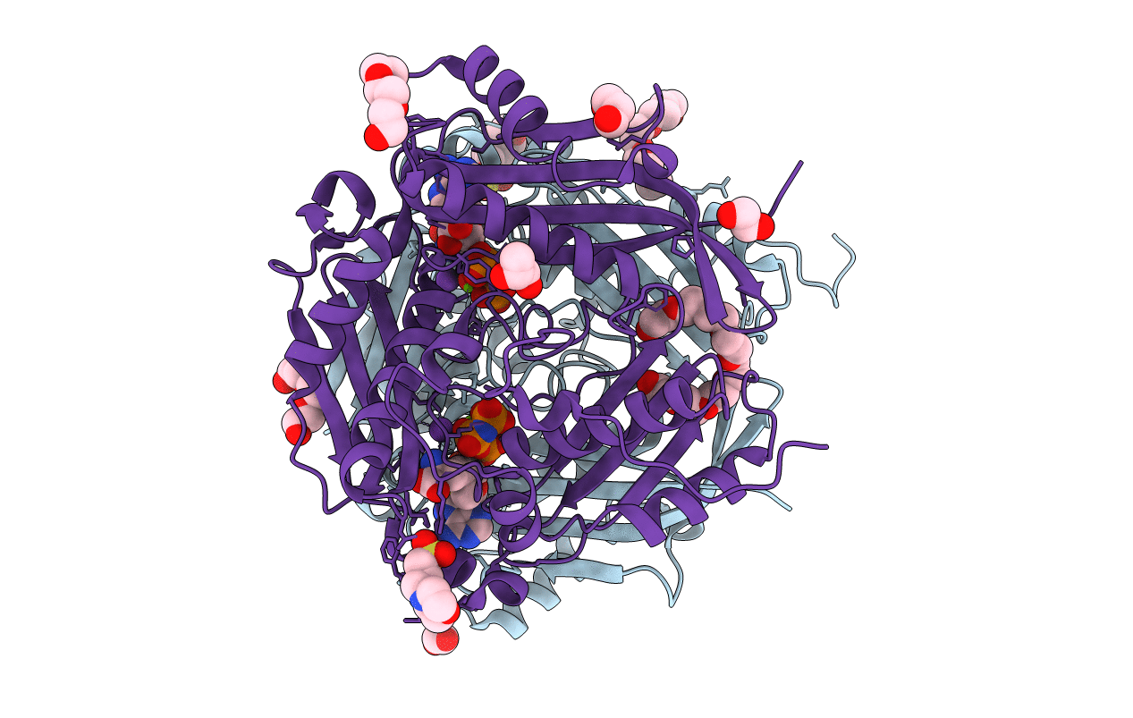 6VD1 image