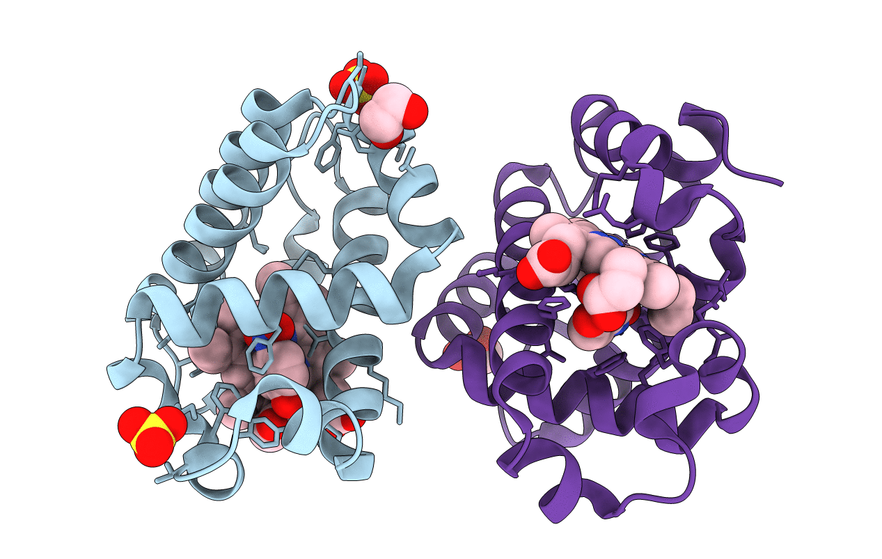 6VD6 image