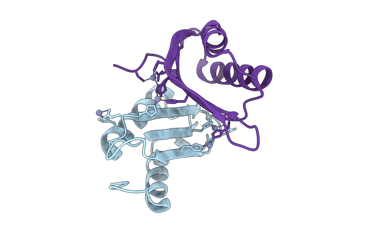 6VD8 image