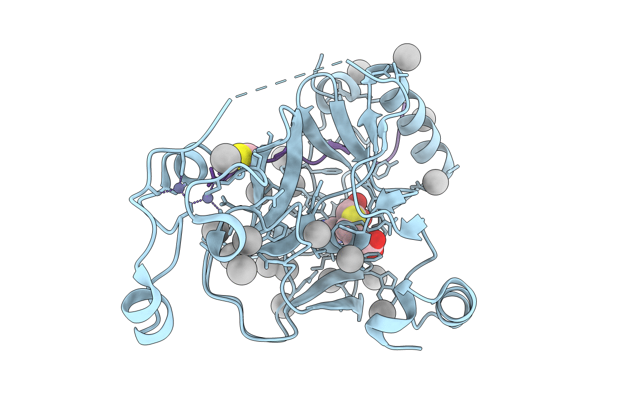 6VDB image