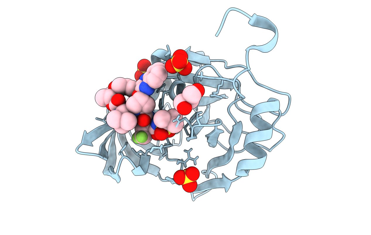 6VDM image