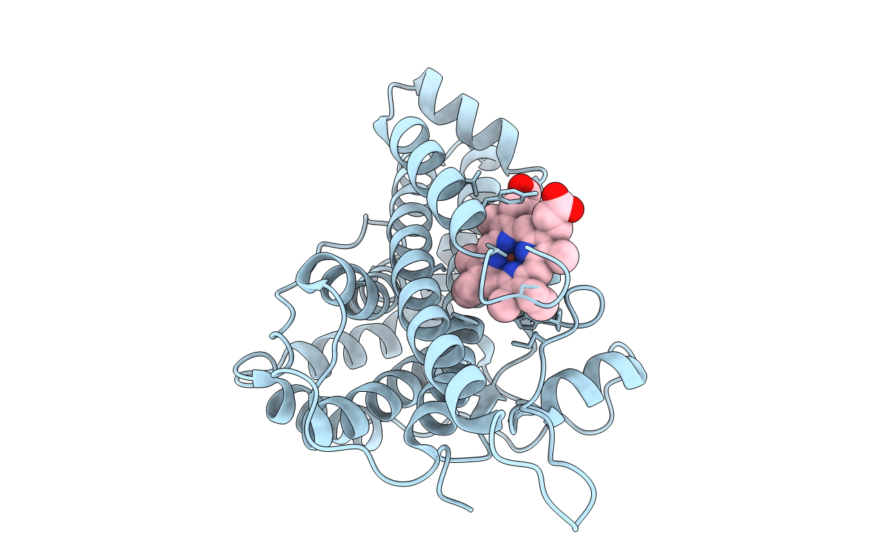 6VDP image