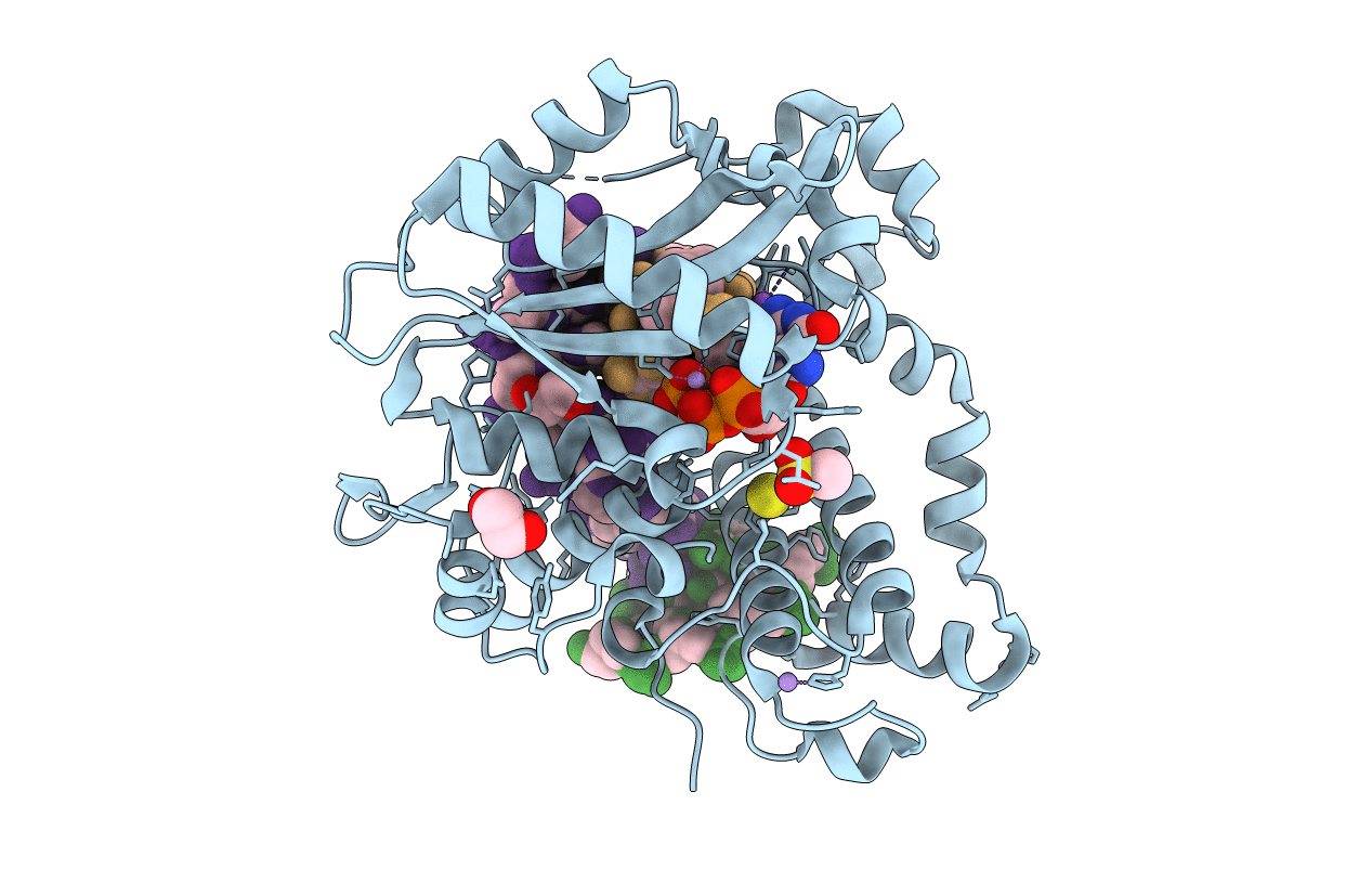 6VFA image