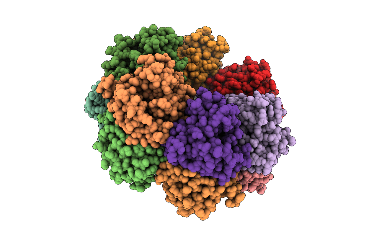 6VFN image