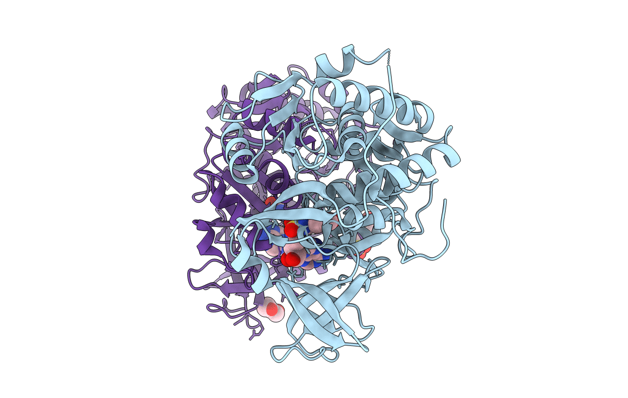 6VHX image