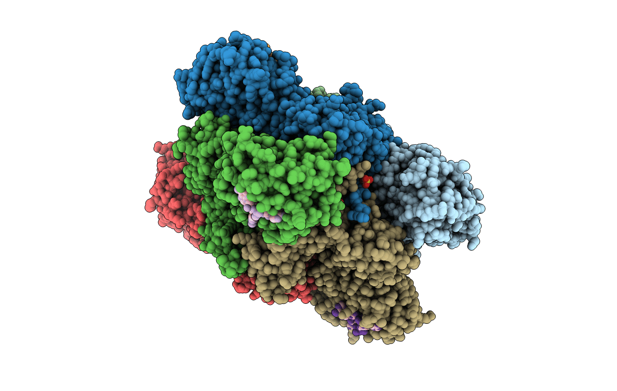 6VM6 image