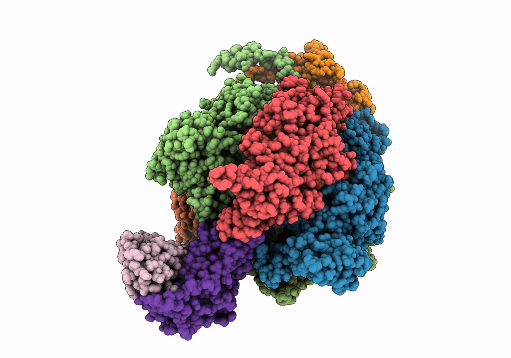 6VMD image