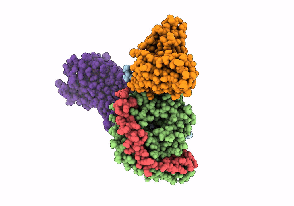 6VMS image