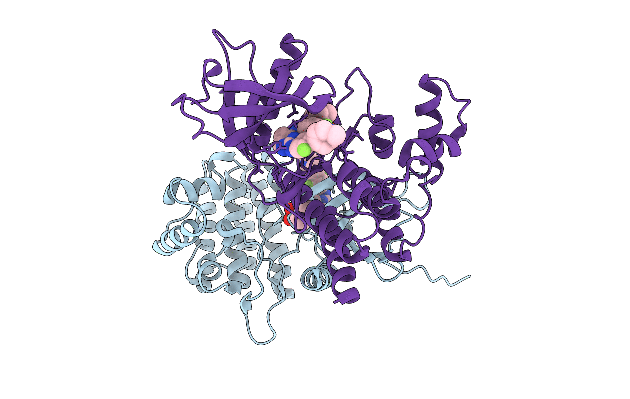 6VNH image