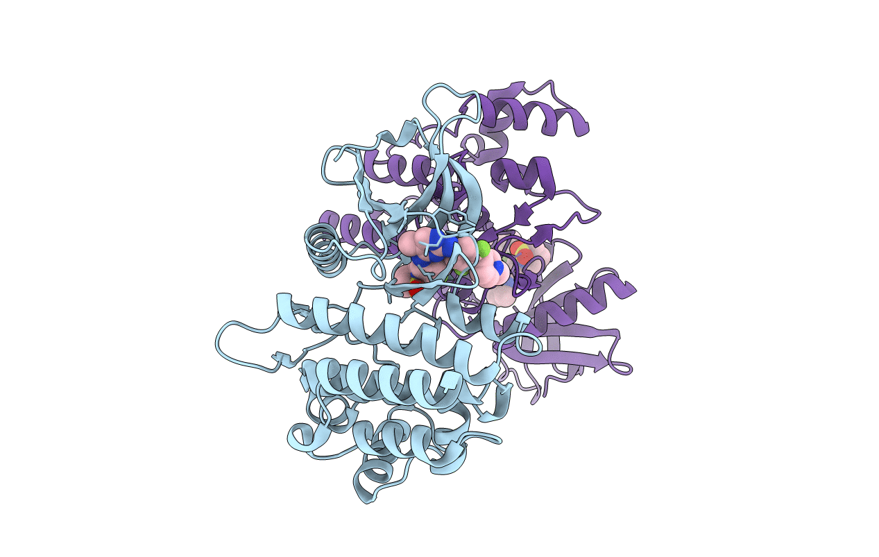 6VNI image
