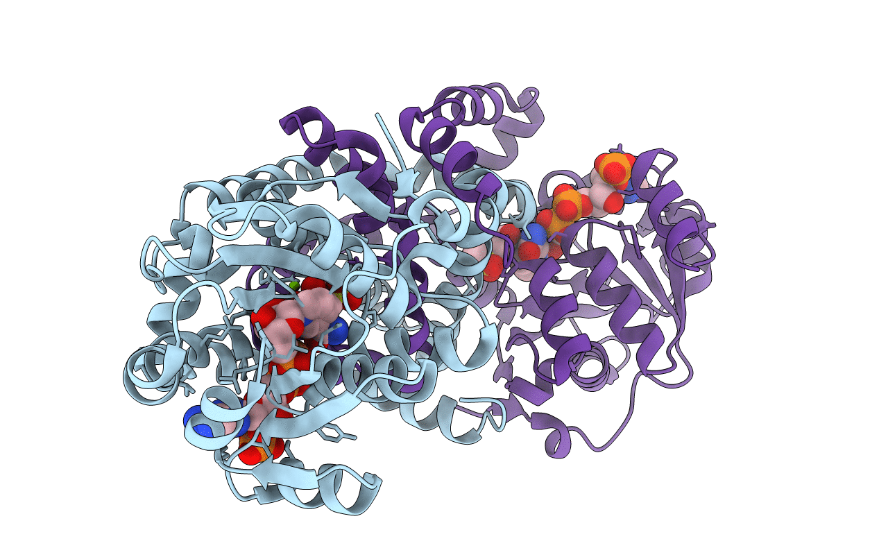 6VO2 image
