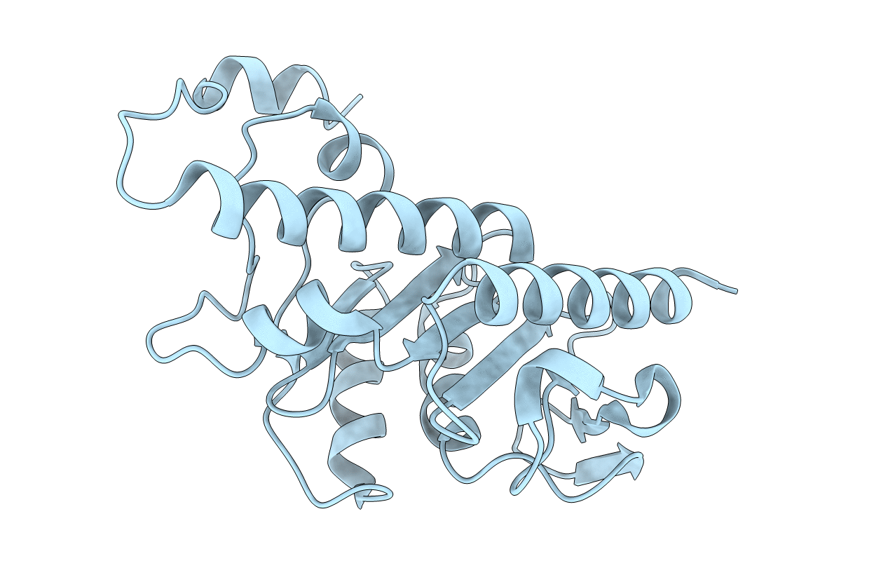 6VOP image