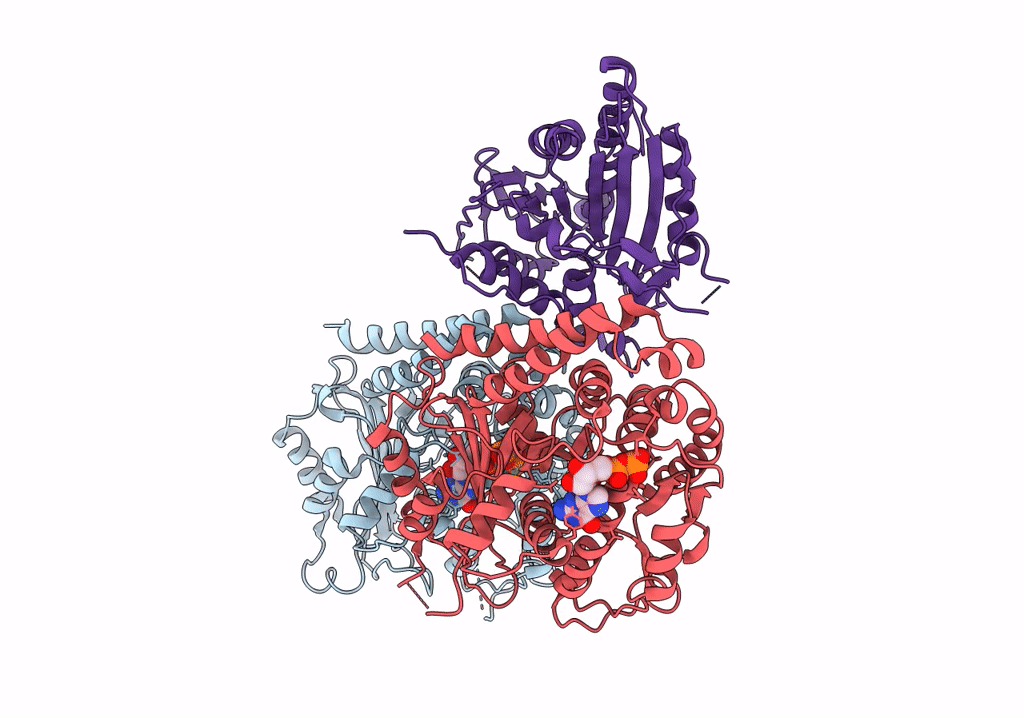 6VPP image