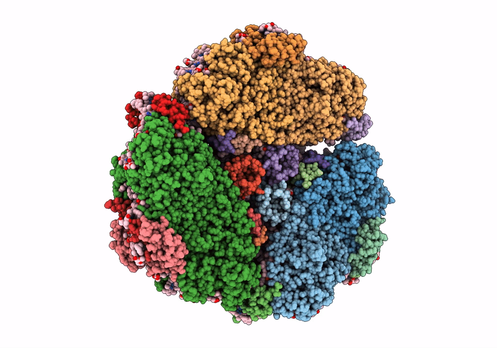 6VPV image
