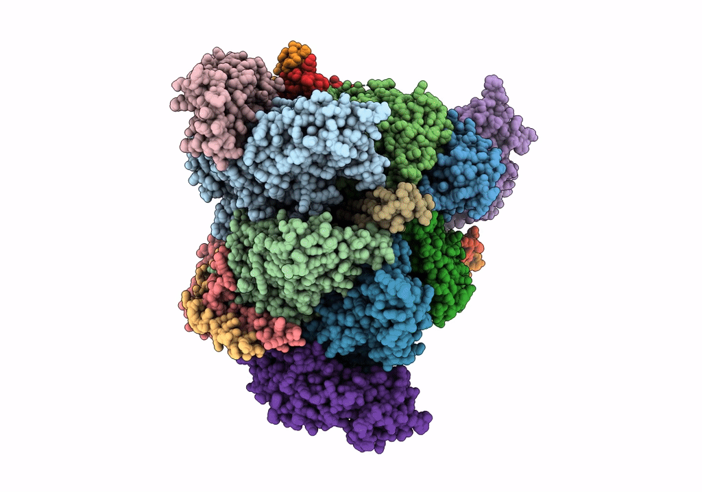 6VQA image