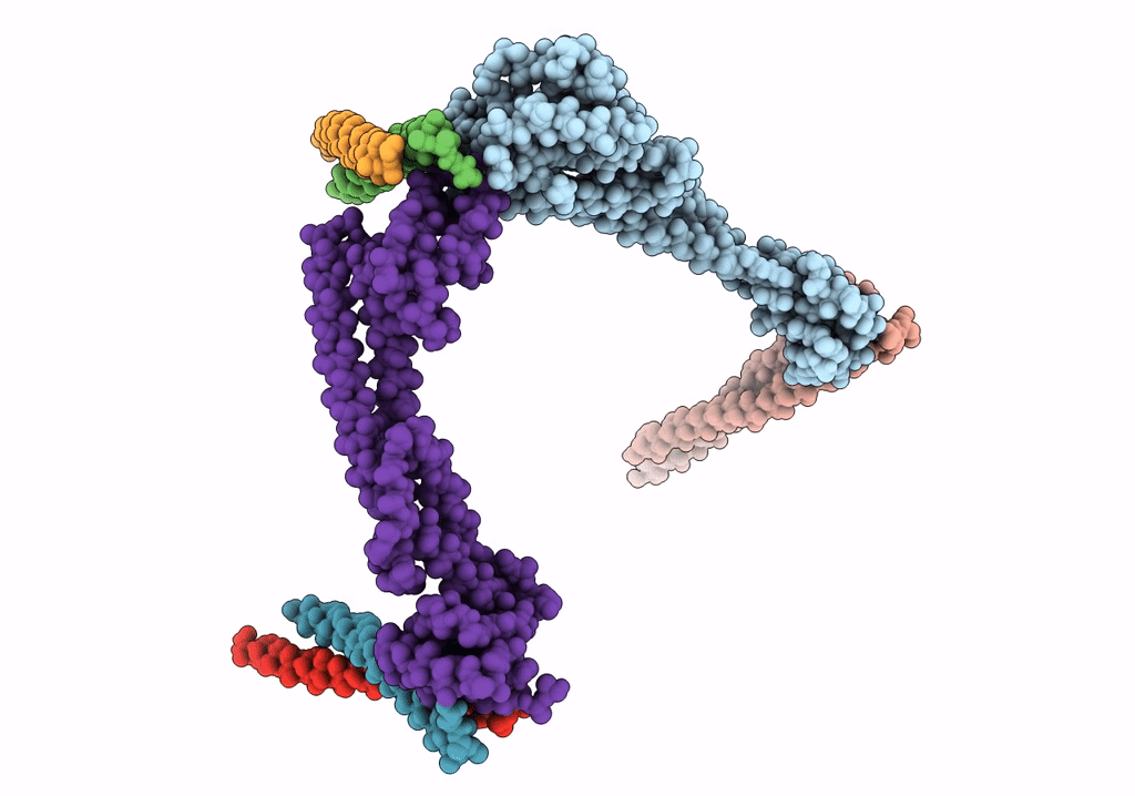 6VQI image