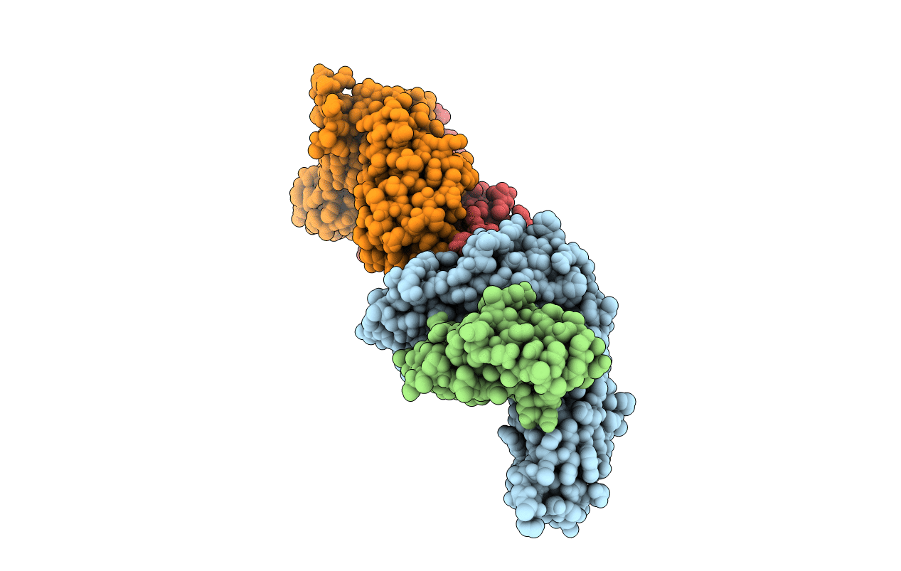 6VRM image