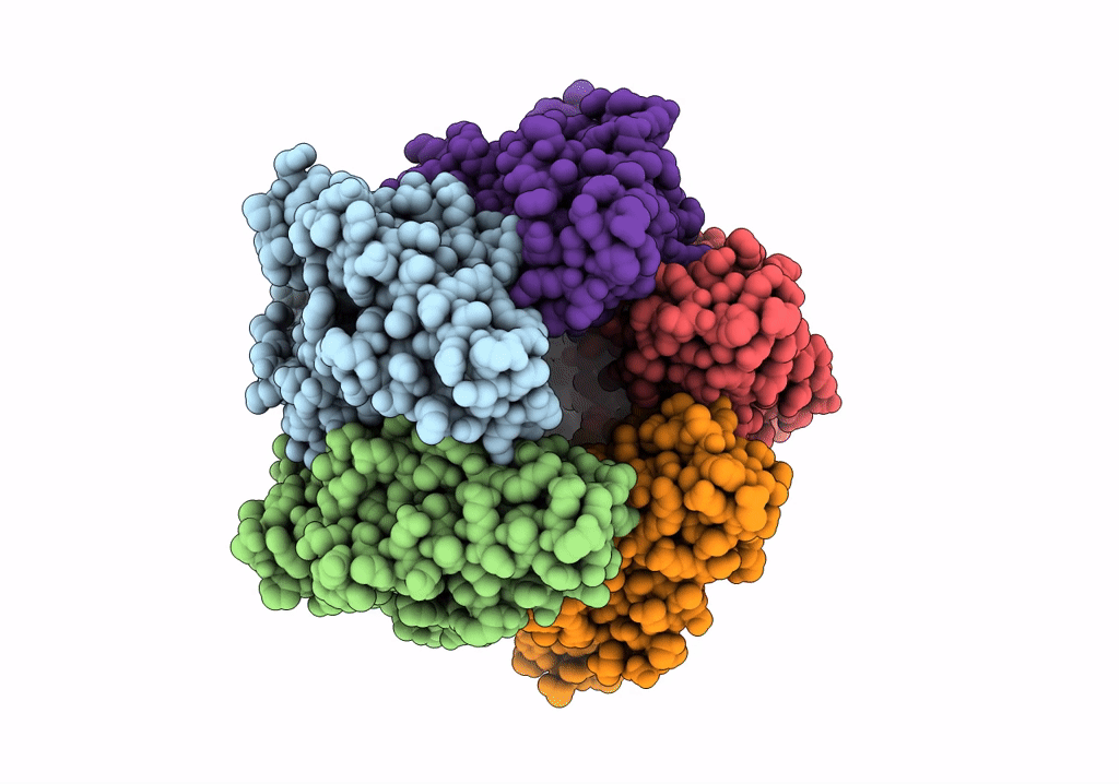 6VSA image