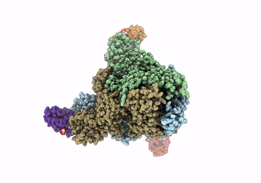 6VSJ image