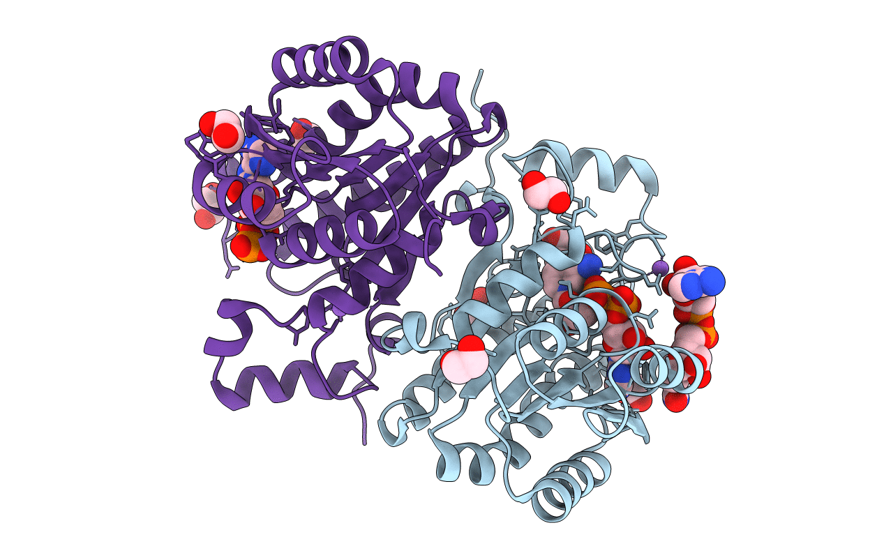6VSP image