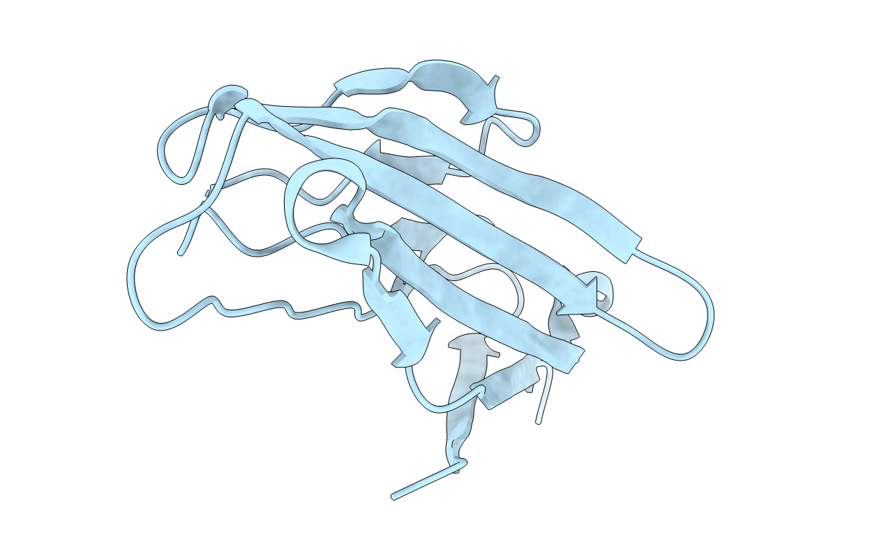 6VSV image