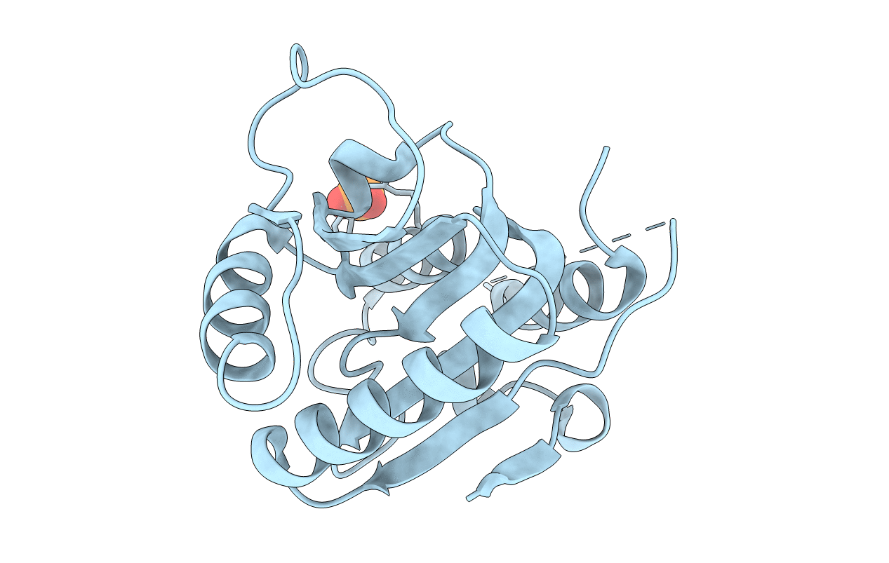 6VSX image