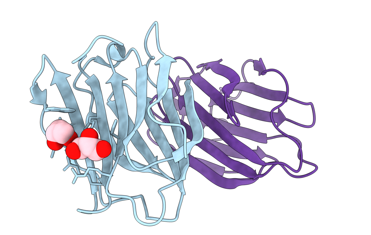 6VTP image