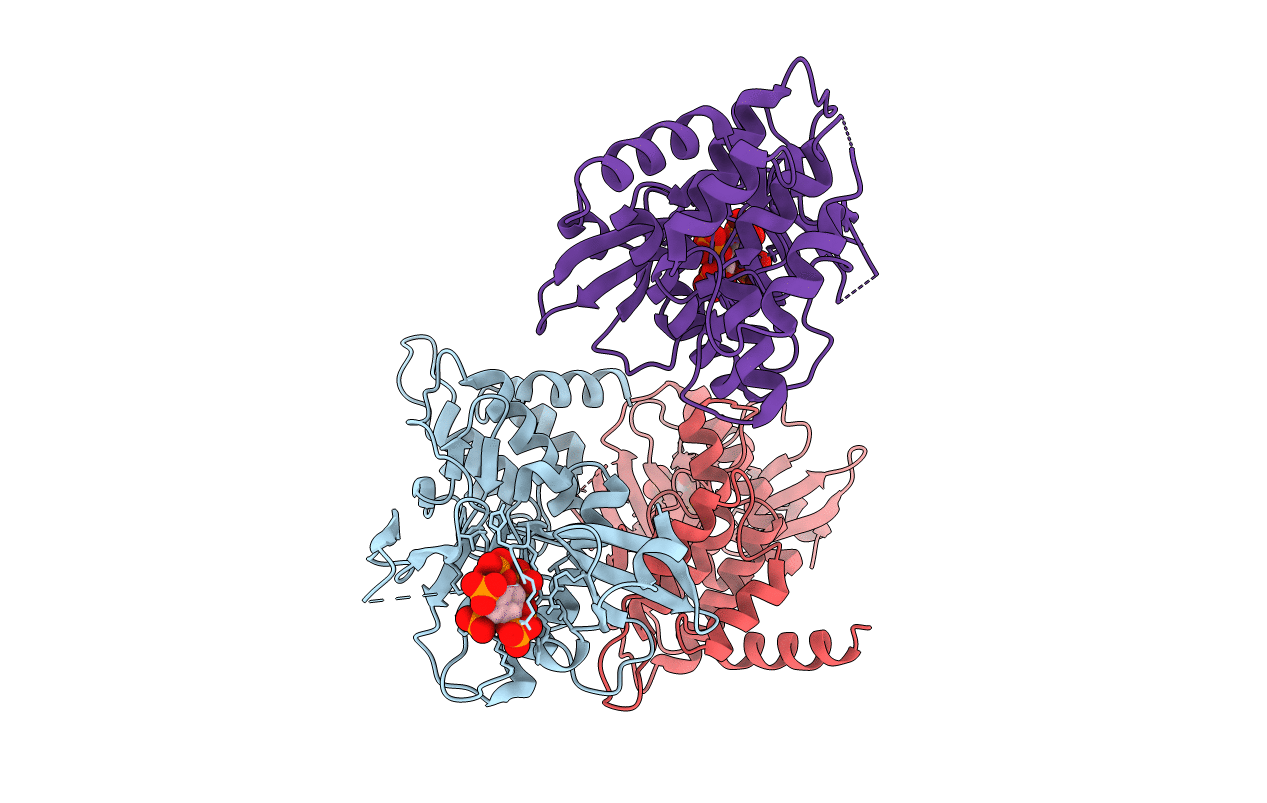 6VVD image