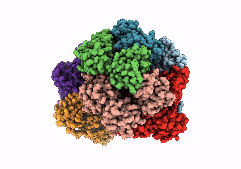 6VVO image