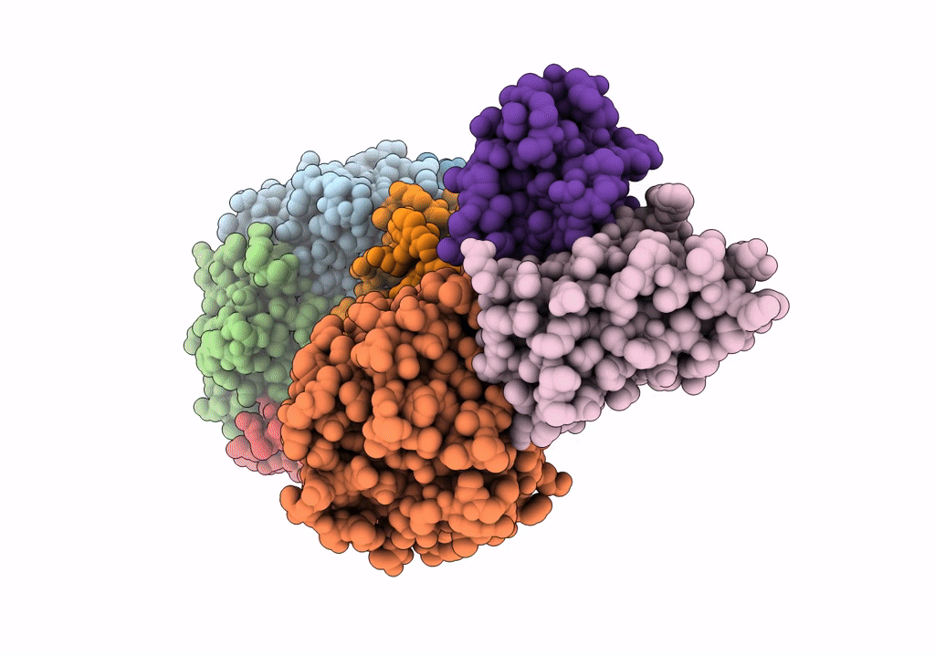 6VX4 image