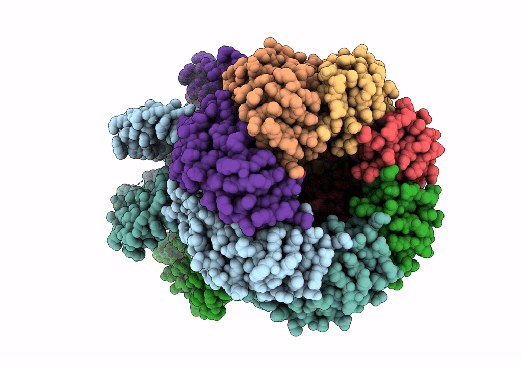 6VXP image