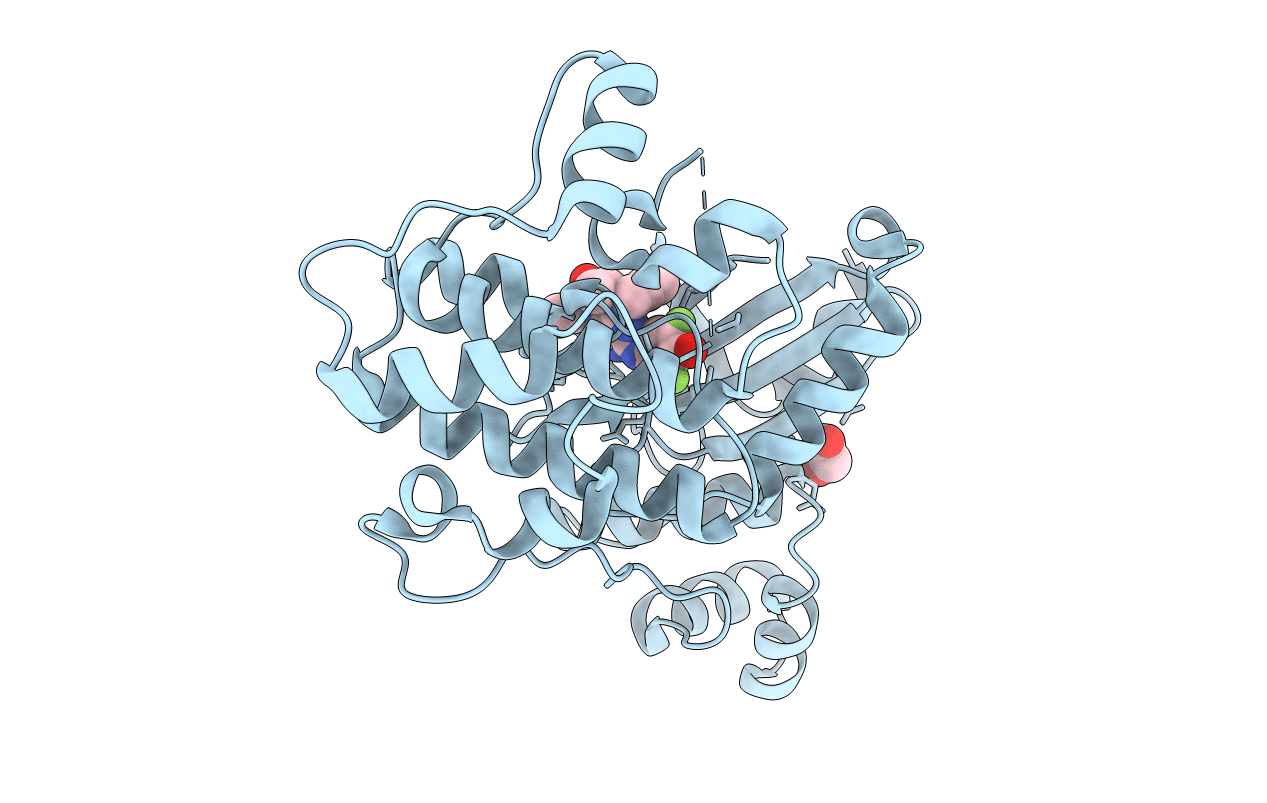 6VXR image