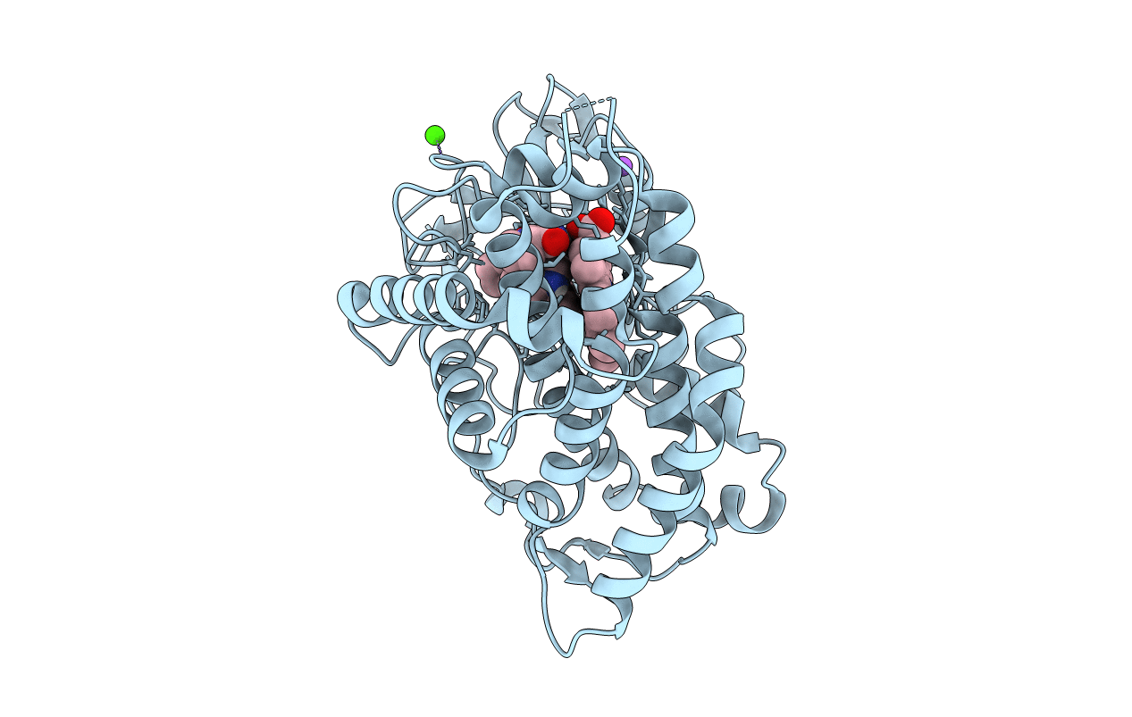 6VXV image