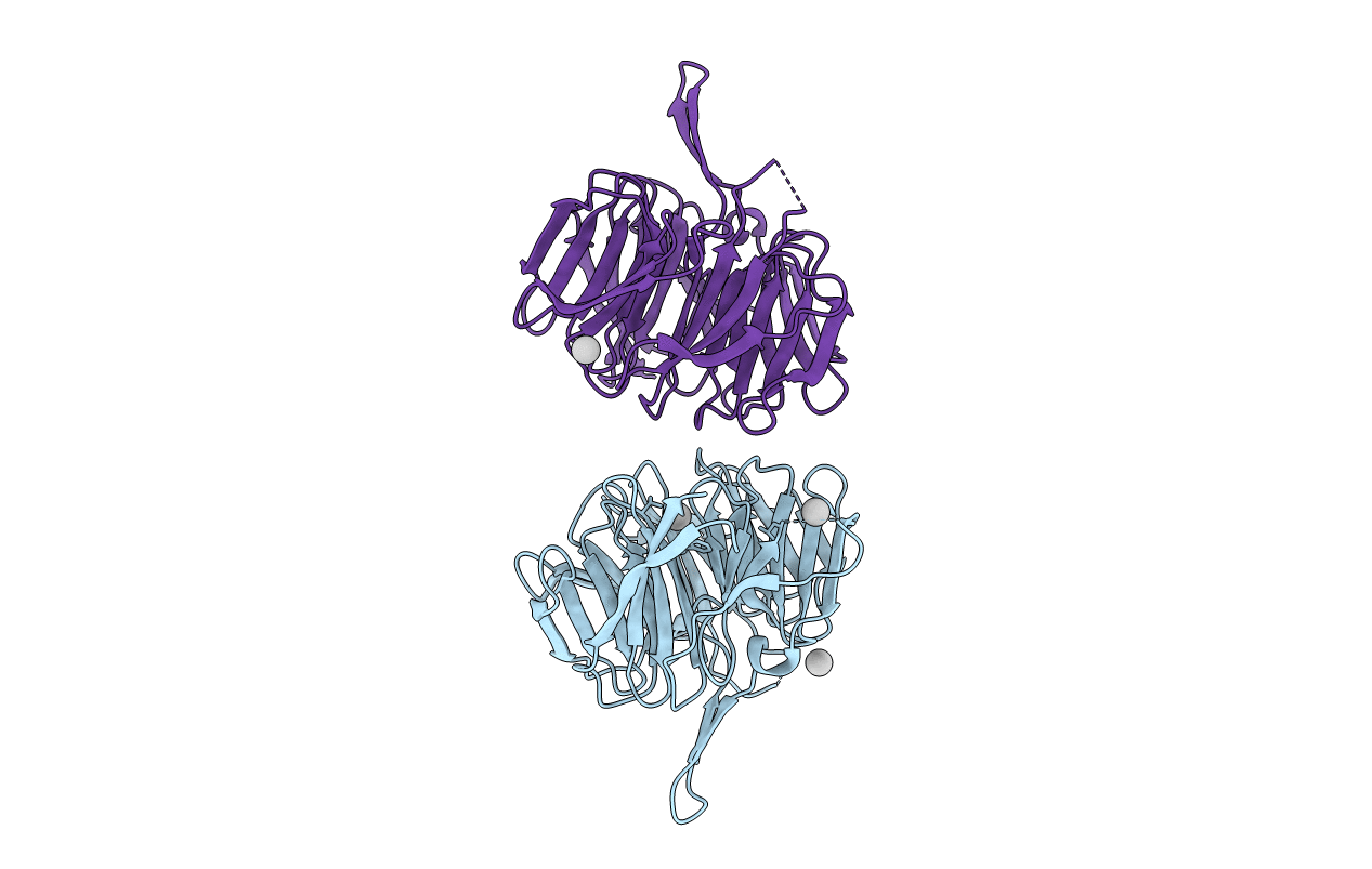 6VYC image