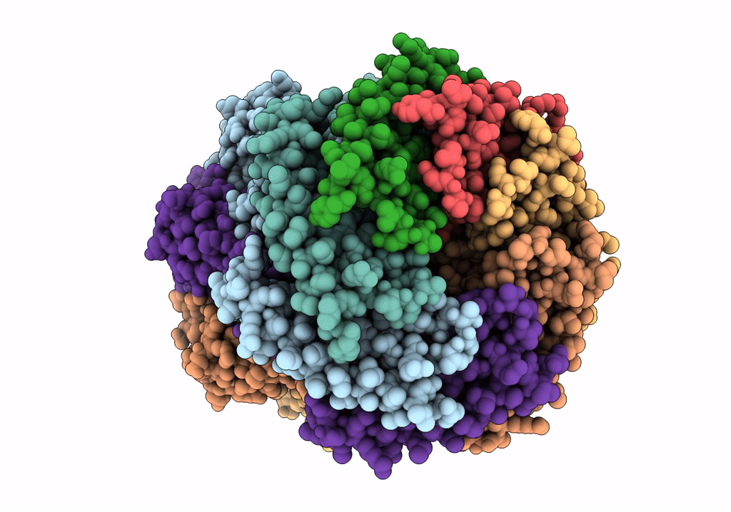 6VYM image