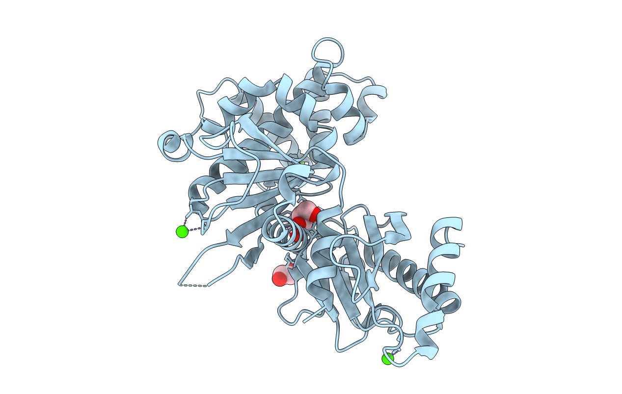 6VZZ image