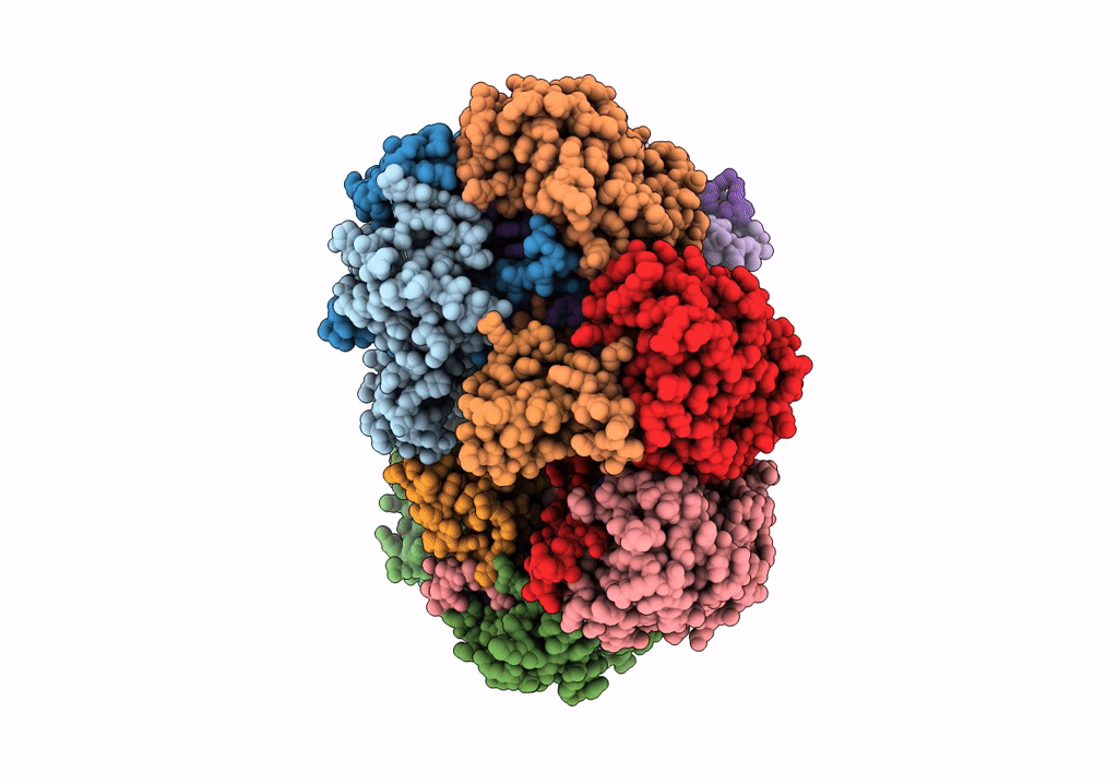 6W1X image