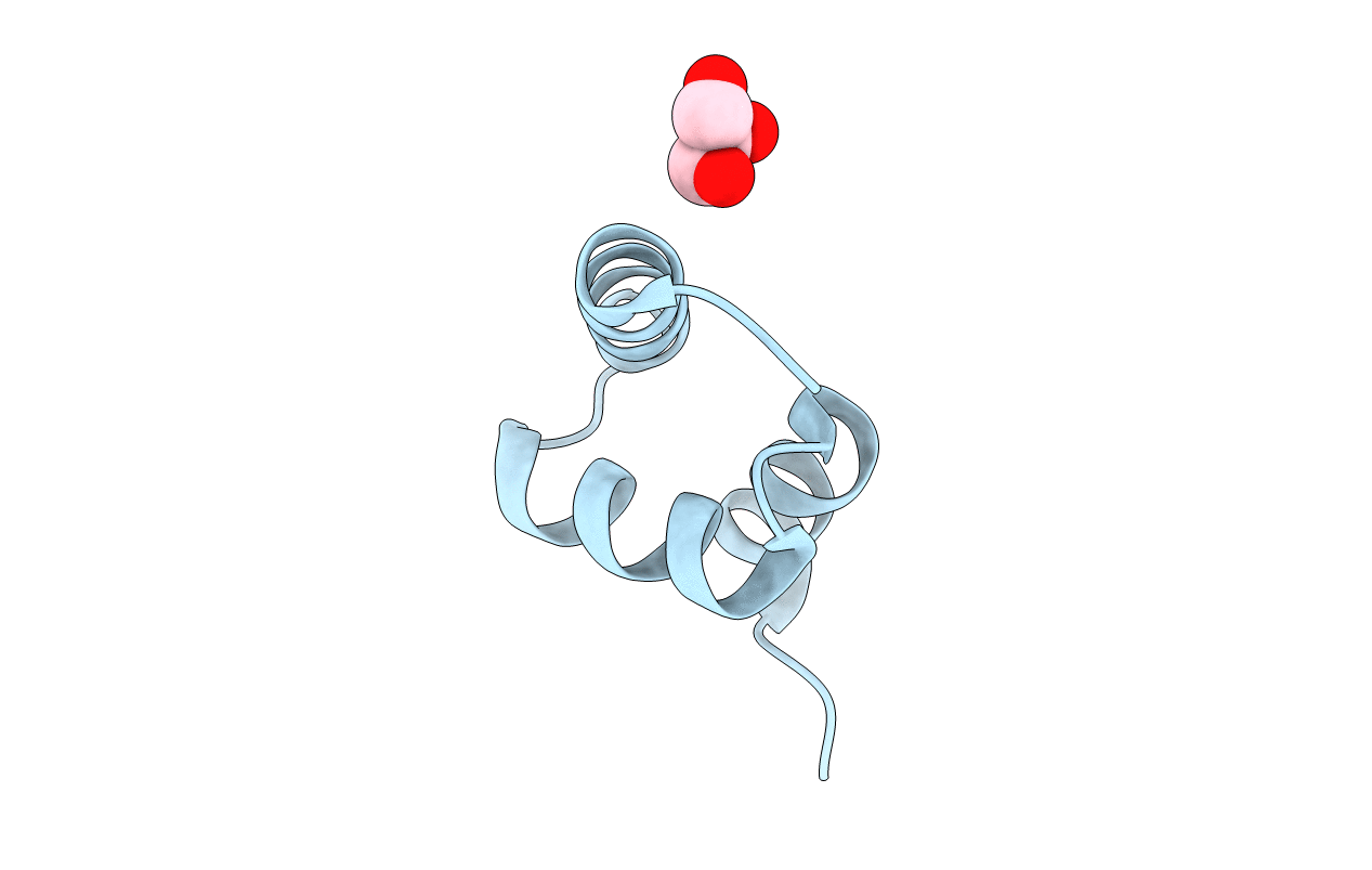 6W2I image