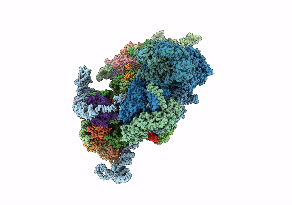 6W2S image