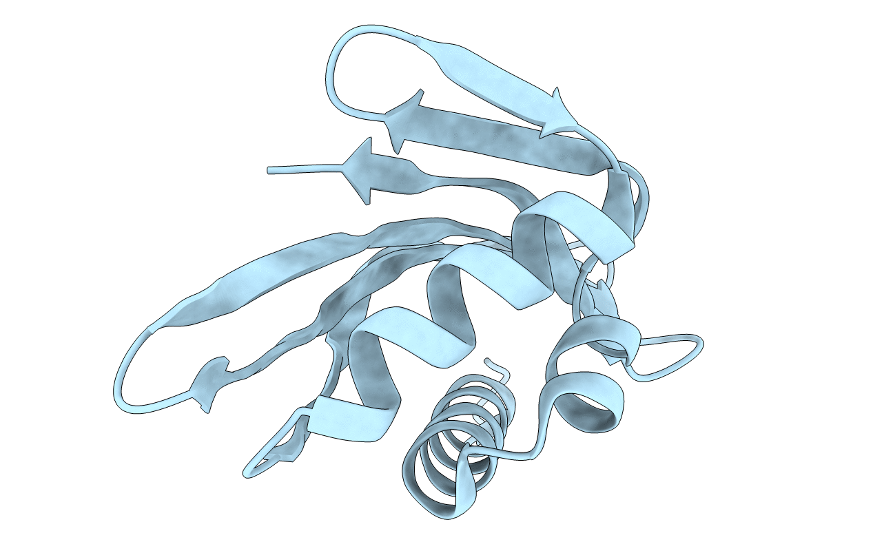 6W3D image