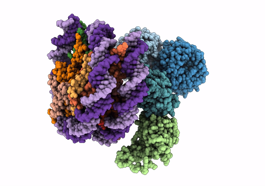 6W5I image